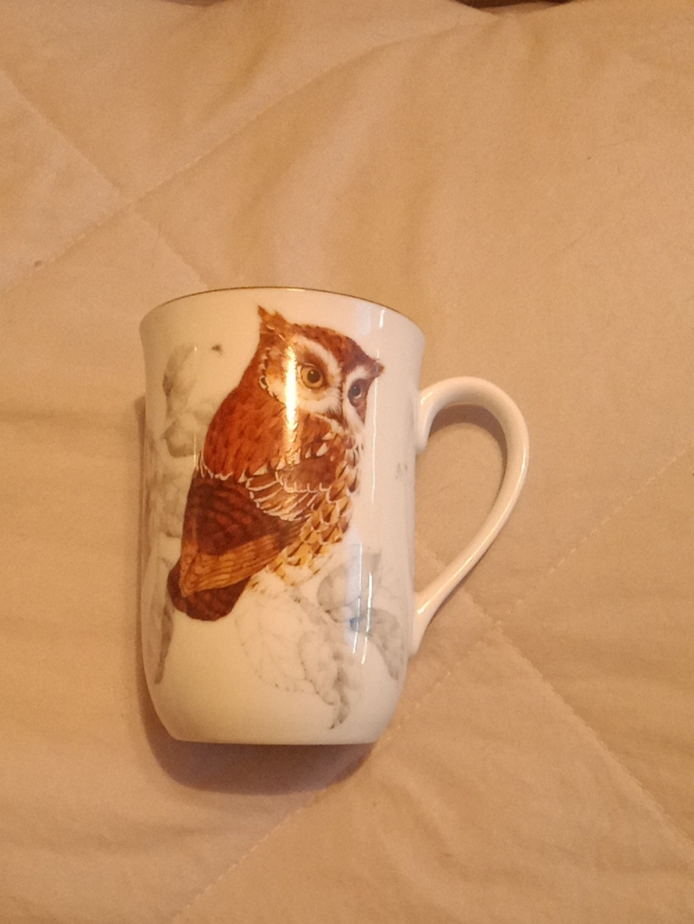 Ceramic White Mug with Brown Owl Illustration